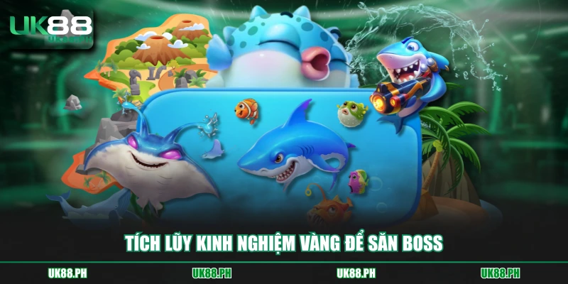 Tích lũy kinh nghiệm vàng để săn boss