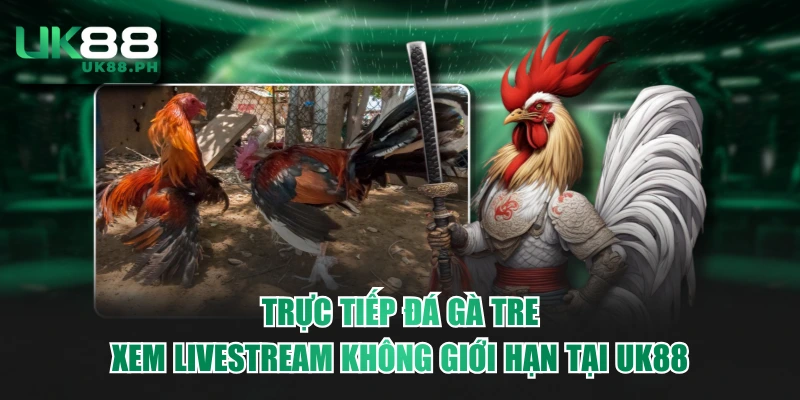 Trực tiếp đá gà tre